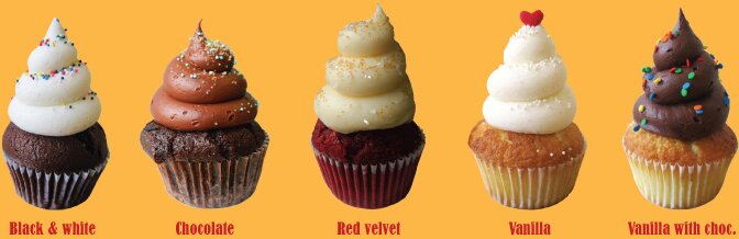 Daily cupcakes from The Chocolate Moose bakery in Greenville, SC